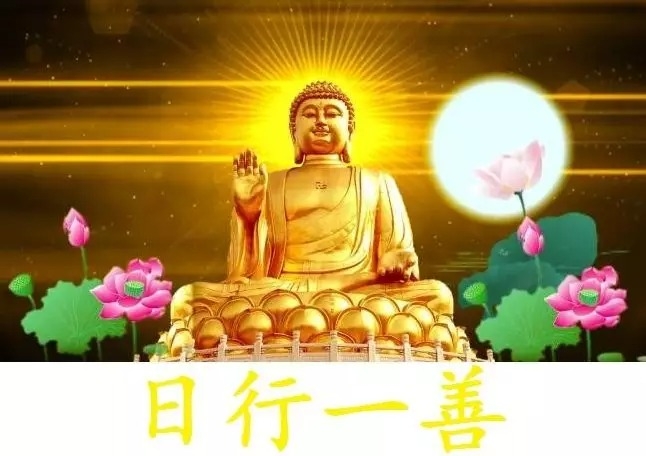 暢談六祖壇經（488）本來無生