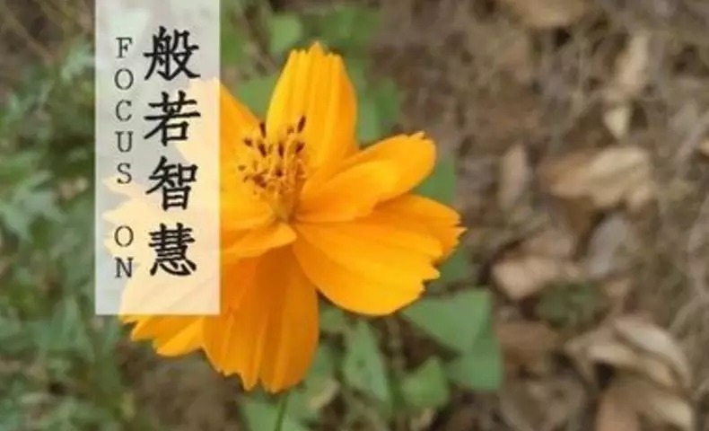 暢談六祖壇經（115）無二之性