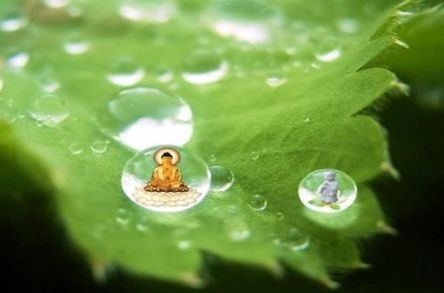 暢談六祖壇經（1338）從心思維