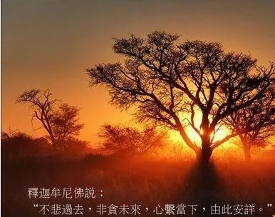暢談六祖壇經（196）貪愛故苦