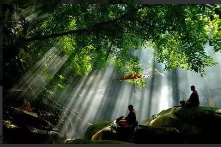 暢談六祖壇經（704）慈悲為懷