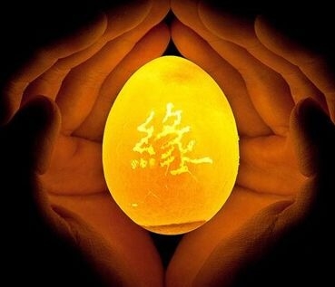 暢談六祖壇經（1336）從當下悟