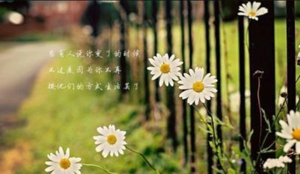 暢談六祖壇經（1426）不求聖解