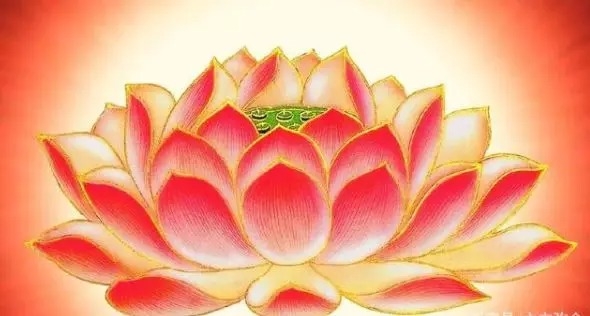 暢談六祖壇經（536）訓練覺知