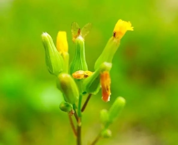 暢談六祖壇經（863）患在度量